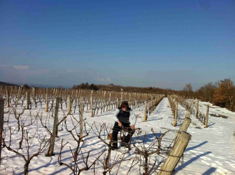 Skerk, Malvasia in bucce (1): l'intervista