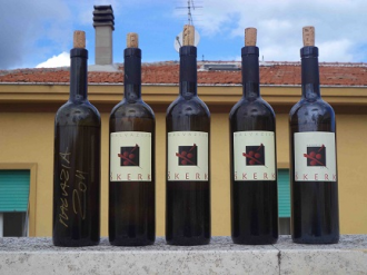 Skerk, Malvasia in bucce (2): la degustazione