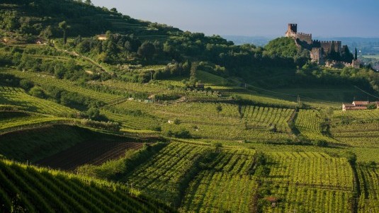 Soave Preview: tra paesaggio e biodiversità