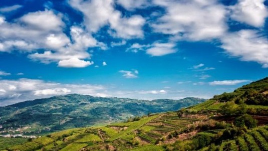 Soave: si imbottiglia solo in zona