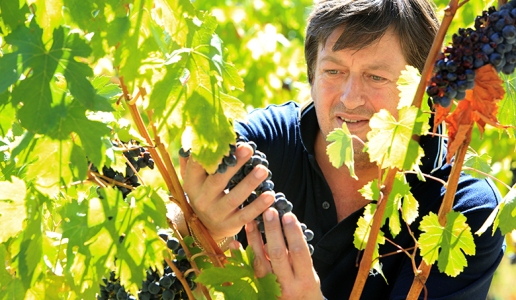 Stefano Mancinelli produttore vino Marche