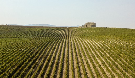 Tenuta Marchesa - Duca di Salaparuta