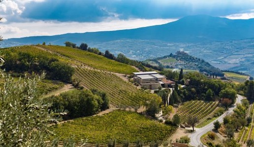 Tenuta-San-GIorgio-Montalcino famiglia Tipa Bertarelli Collemassari