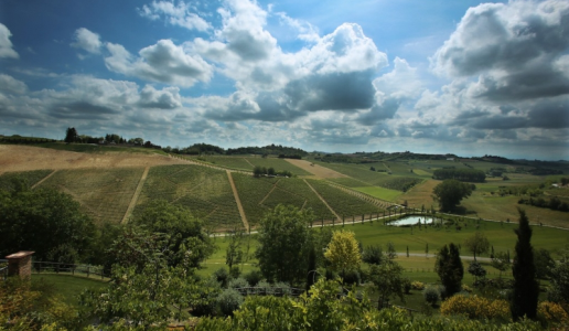 Tenuta Santa Caterina vigneti Piemonte