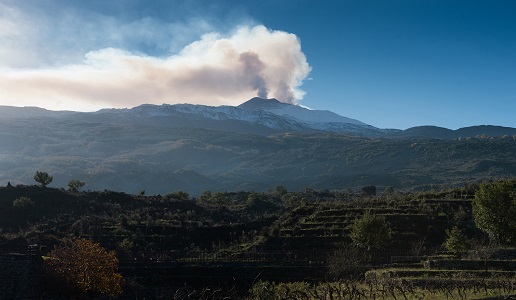 Tenuta di Vajasindi Etna Duca di Salaparuta