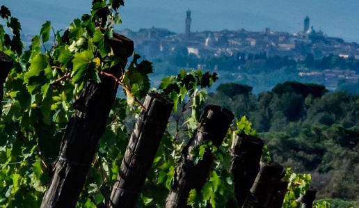 Terre di Seta - Siena