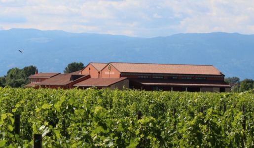 Terre di Ger cantina vini panorama