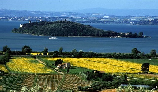 duca della corgna cantina vini umbria corniolo riserva panorama doctorwine