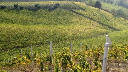 Tesori nascosti del Piceno