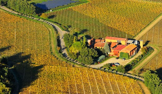 tre monti cantina vini emilia romagna panorama vigne campo di mezzo sangiovese superiore 2016