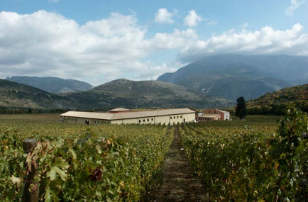 Trebbiano? Sì se d'Abruzzo e di Valle Reale