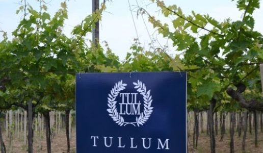 LA DOP TULLUM DIVENTA UFFICIALMENTE UNA DOCG
