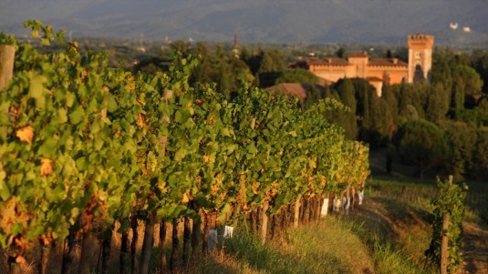 Un sogno friulano