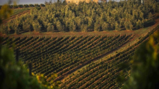 Un sussurro bianco dal cuore dell’Italia (1): Orvieto