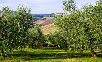 Una moderna realtà marchigiana