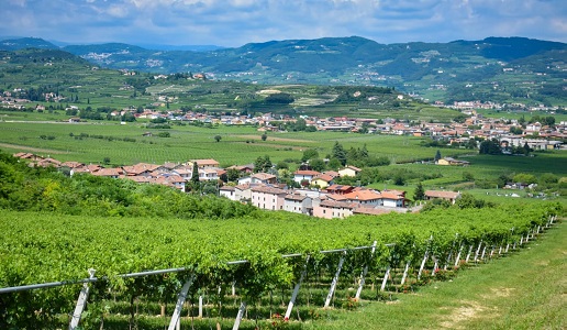 Valpolicella-DOC-Classico_San-Pietro-in-Cariano-Castelrotto