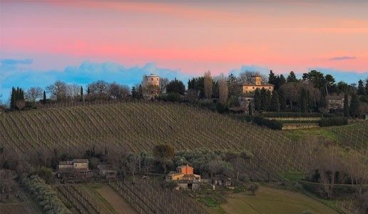 Verdicchio Luzano, bontà da Marotti Campi