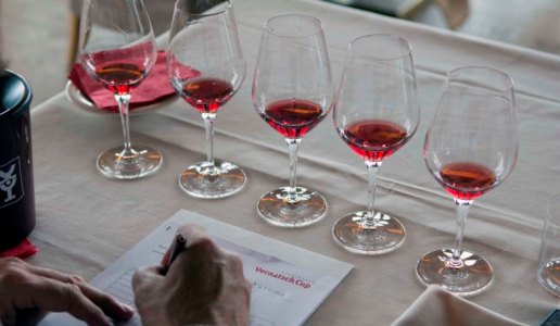 Degustazione Vernatsch Schiava Alto Adige Vino Rosso