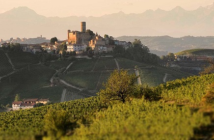 Vietti, grandi Barolo ma anche la Barbera d’Alba…