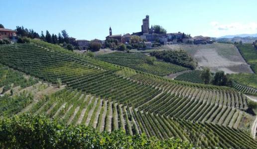 vietti vigneti castiglione falletto langhe freisa vivace 2016