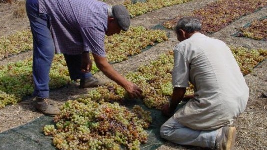 Vini dolci (1): Italia del Sud