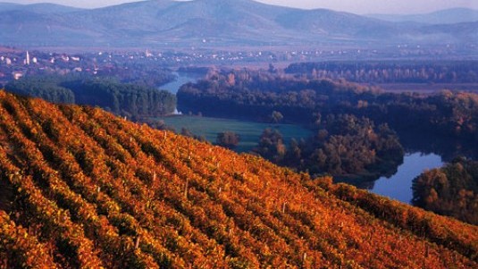 Vini dolci (10): Tokaji