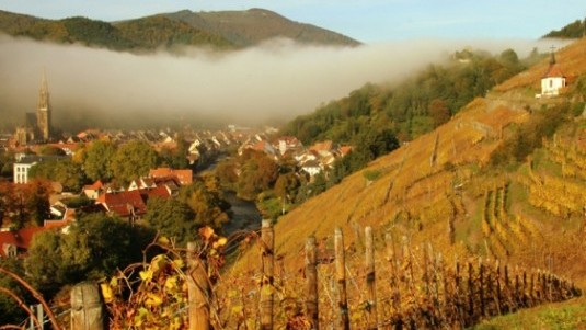 Sweet Wines (6): Alsace