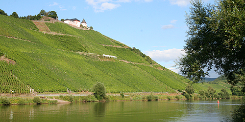 Sweet Wines (7): Germany, Spätlese and Auslese