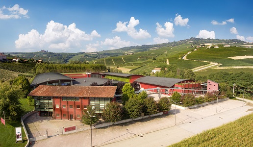 Vite Colte Alta Langa panoramica esterno
