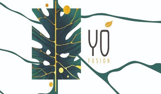 Yo Fusion 1