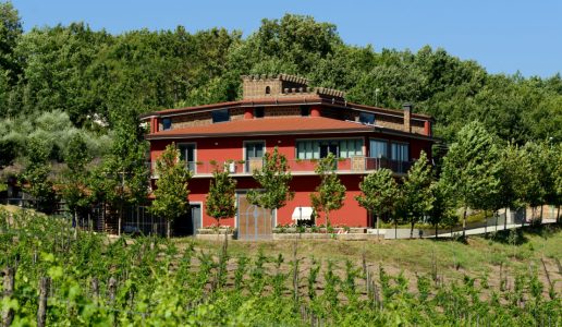 antico castello taurasi vino rosso campania cantina
