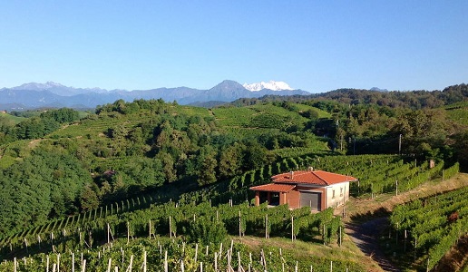 Antoniolo Gattinara