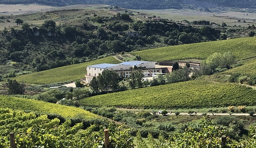 Baglio di Pianetto Cantina