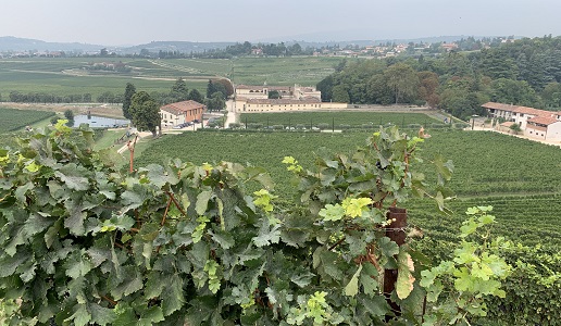 bertani azienda panorama