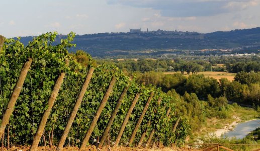 Strozzavolpe Bigi, il buono a € 7. Vino Bianco Strozzavolpe Grechetto 2016