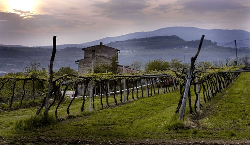 Campolongo di Torbe, la luce scura della Valle di Negrar (2)