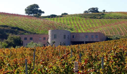 gabbas cantina vini lillovè cannonau di sardegna vino rosso vigneti