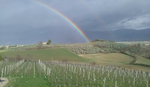 Cantina Ninni, un “diavolo” di produttore