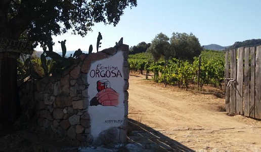 Cantina Orgosa ingresso