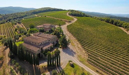Capanna Montalcino Cantina vini Toscana Vigneti panorama