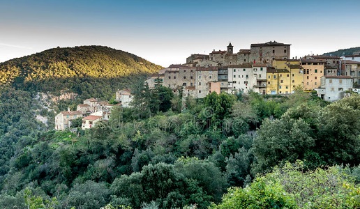 castagneto carducci, livorno, spiga verde