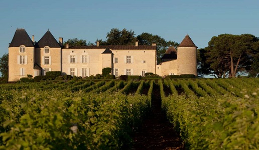 chateau d'Yquem sauternes 2015 vino dolce francia cantina panorama