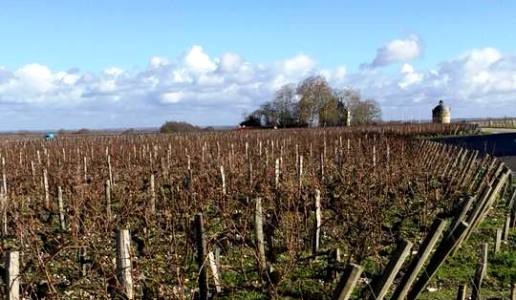 chateau latour cantina vini francia vigneti bourdeaux pauillac grand vin