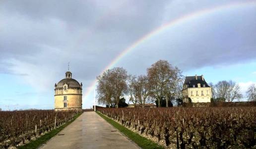 chateau latour cantina vini francia panorama