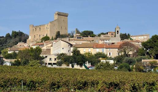 Chateauneuf du Pape 2015: un’annata tutta da scoprire