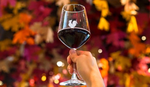 chianti classico gallo calice doctorwine