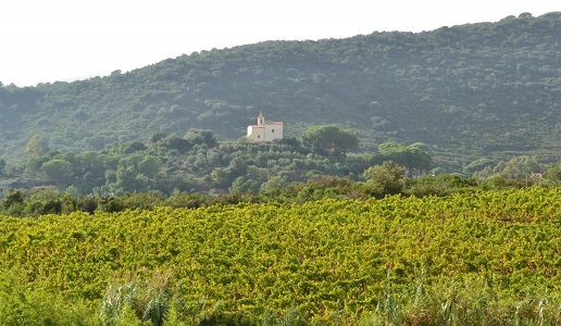 Chiesina di Lacona Isola d'Elba cantina