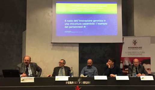 convegno viticoltura sostenibile realtà e futuro tipicità fermo
