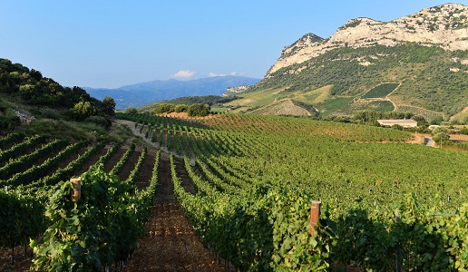Corsica Domaine Gentile