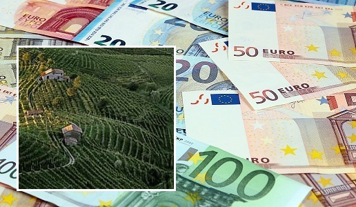 Gli alti costi di produzione del Prosecco Docg
